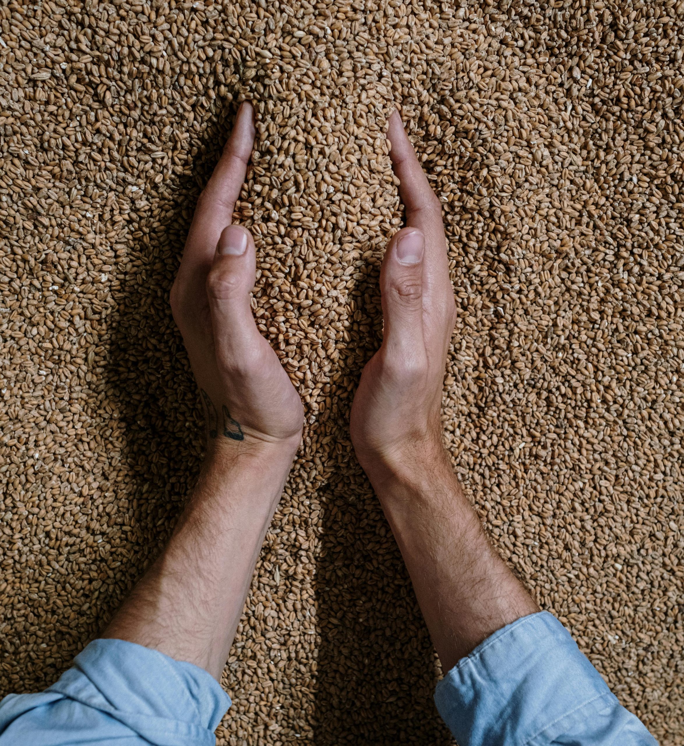 pexels-cottonbro-5538169v22_02